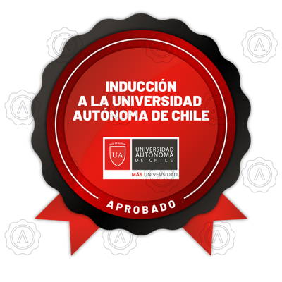 Colaborador UA