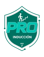 Inducción 2025