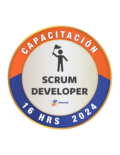SCRUM DEVELOPER