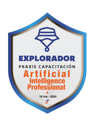 Artificial Intelligence Professional Certificate
