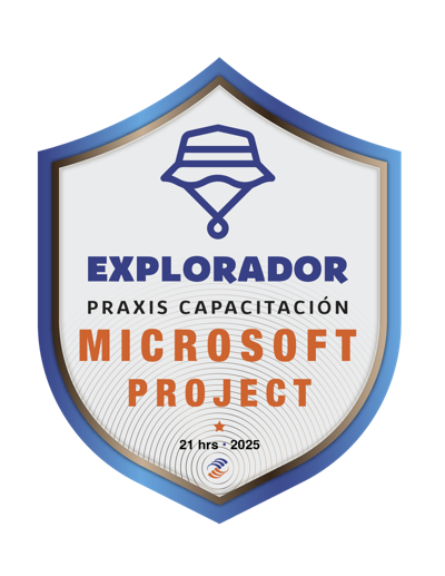 MICROSOFT PROJECT