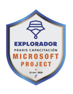 MICROSOFT PROJECT