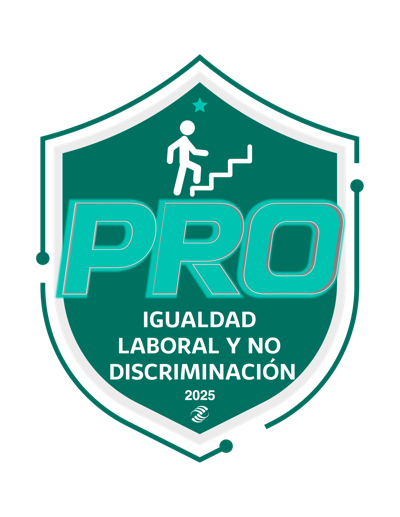 Igulaldad Laboral y No Discriminación 2025