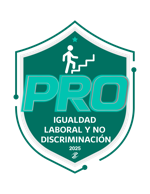 Igulaldad Laboral y No Discriminación 2025