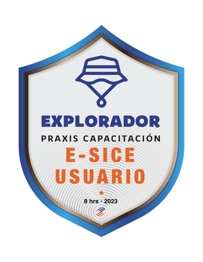 CURSO E-SICE USUARIO