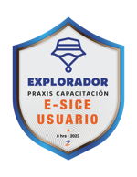 CURSO E-SICE USUARIO