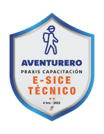 CURSO E-SICE TÉCNICO