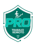 Trabajo remoto 2025