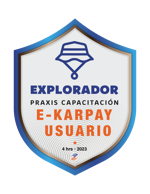 E-Karpay nivel usuario