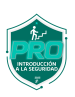 Desarrollo de Código Seguro: Introducción a la Seguridad