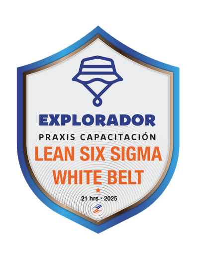 LEAN SIX SIGMA WHITE BELT
