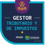 Gestor Tributario y de Impuestos