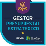 Gestor Presupuestal Estratégico