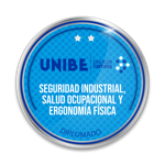 Diplomado Especializado en Seguridad Industrial, Salud Ocupacional y Ergonomía Física