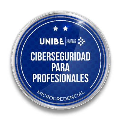 Curso Ciberseguridad para Profesionales