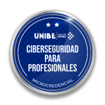 Curso Ciberseguridad para Profesionales