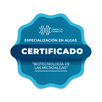 Imagen de la credencial