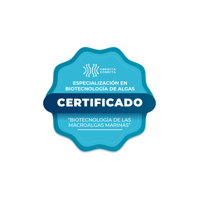 Curso de Biotecnología de las Macroalgas Marinas
