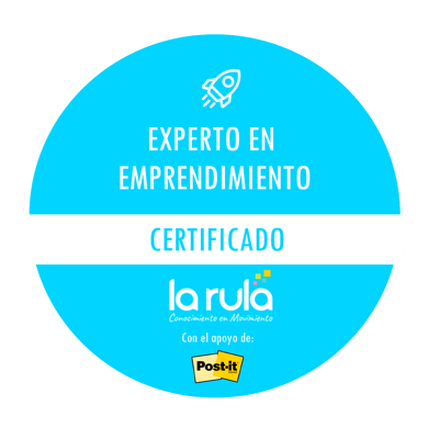 EXPERTO EN EMPRENDIMIENTO