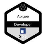 Apigee Developer