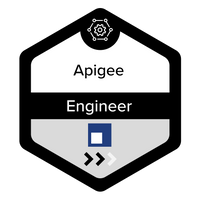 Apigee Engineer