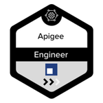 Apigee Engineer