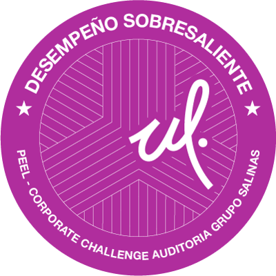 Corporate Challenge Auditoría Grupo Salinas (DS)