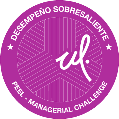 Managerial Challenge (DS)