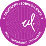 Managerial Challenge (DS)