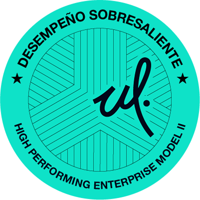 High Performing Enterprise Model II