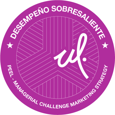 Managerial Challenge Marketing Strategy (DS)
