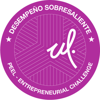 Entrepreneurial Challenge (DS)