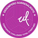 Corporate Challenge Total Cyber-Sec (DS)