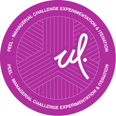 Managerial Challenge Experimentation & Iteration