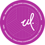 Managerial Challenge Experimentation & Iteration