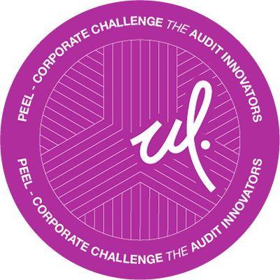 Corporate Challenge The Audit Innovators