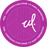 Corporate Challenge The Audit Innovators