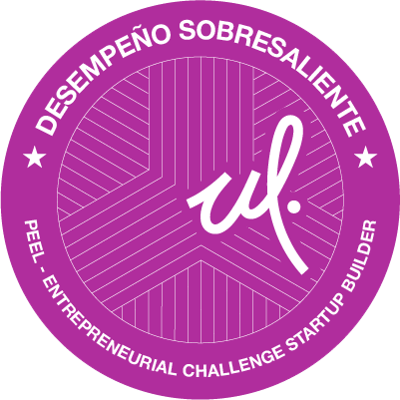 Entrepreneurial Challenge Startup Builder (DS)