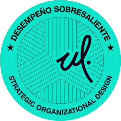 Strategic Organizational Design