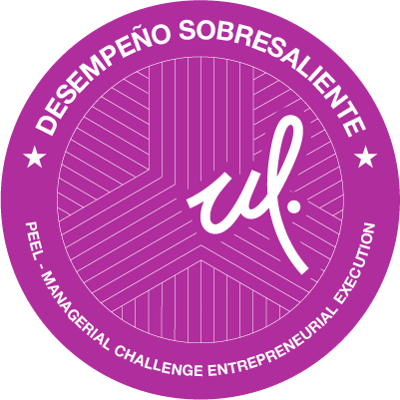Managerial Challenge Entrepreneurial Execution (DS)