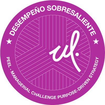 Managerial Challenge Purpose-Driven Strategy (DS)