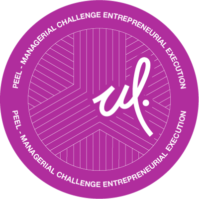 Managerial Challenge Entrepreneurial Execution