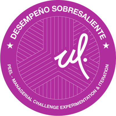 Managerial Challenge Experimentation & Iteration (DS)