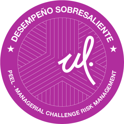 Managerial Challenge Risk Management (DS)