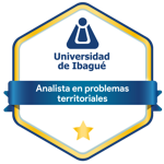Analista en problemas territoriales