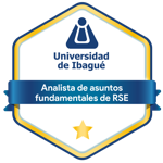 Analista de asuntos fundamentales de RSE