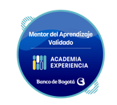 Mentor del Aprendizaje Validado