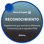 Promotor(a) de la equidad STEM