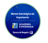 Mentor Estratégico de Experiencia
