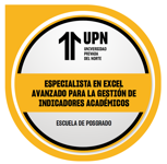 Especialista en Excel avanzado para la gestión de indicadores académicos